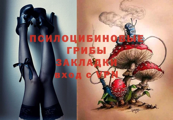 дурь Бородино