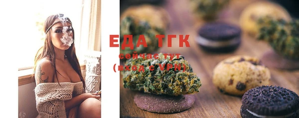 дурь Бородино