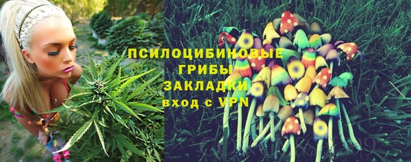 трава Бугульма