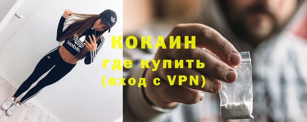 дурь Бородино