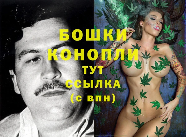 дурь Бородино